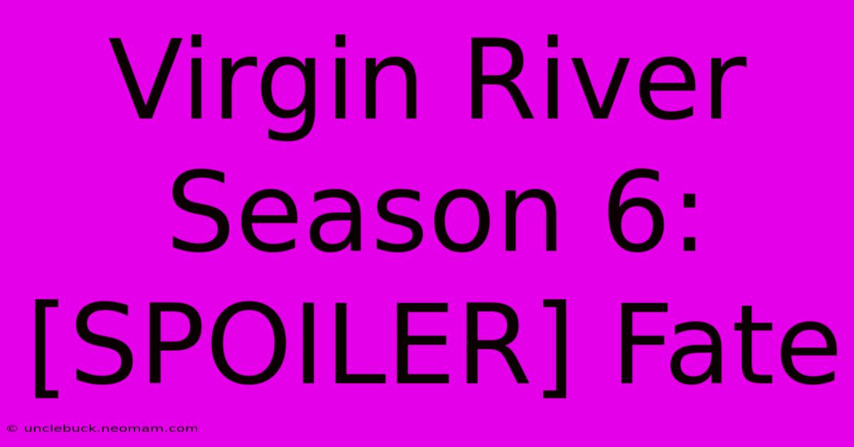 Virgin River Season 6: [SPOILER] Fate