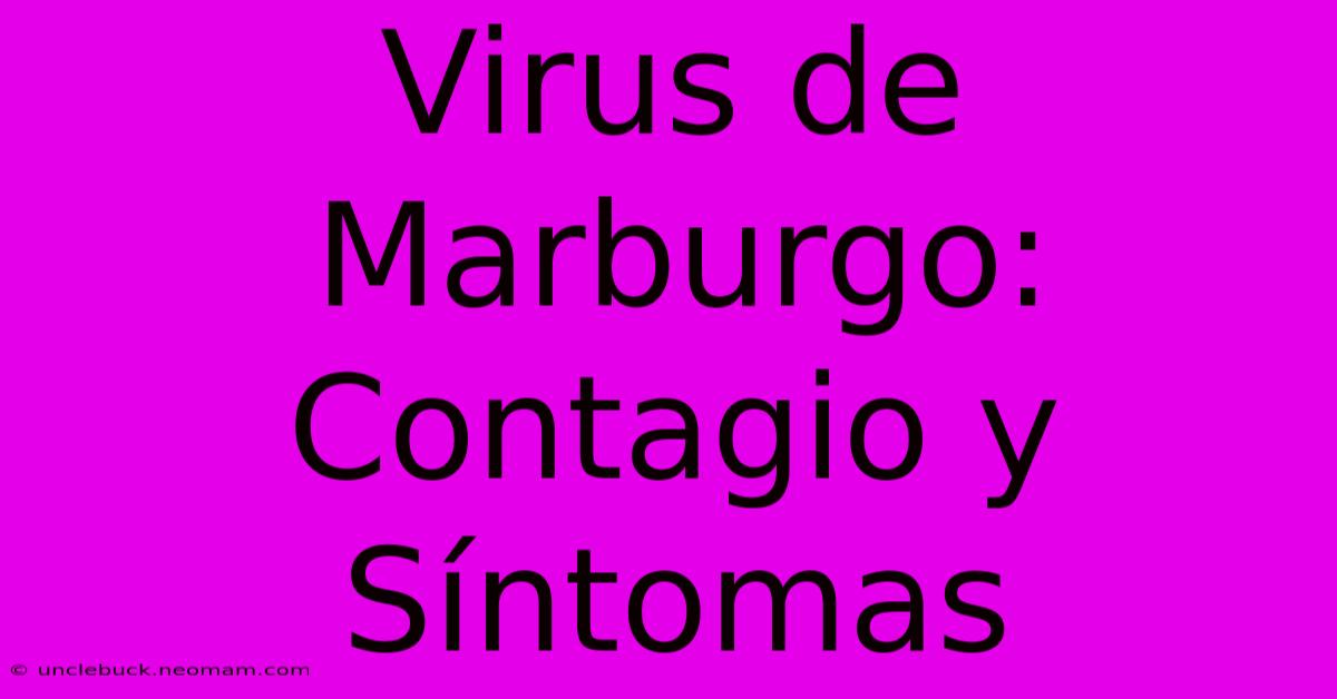 Virus De Marburgo: Contagio Y Síntomas