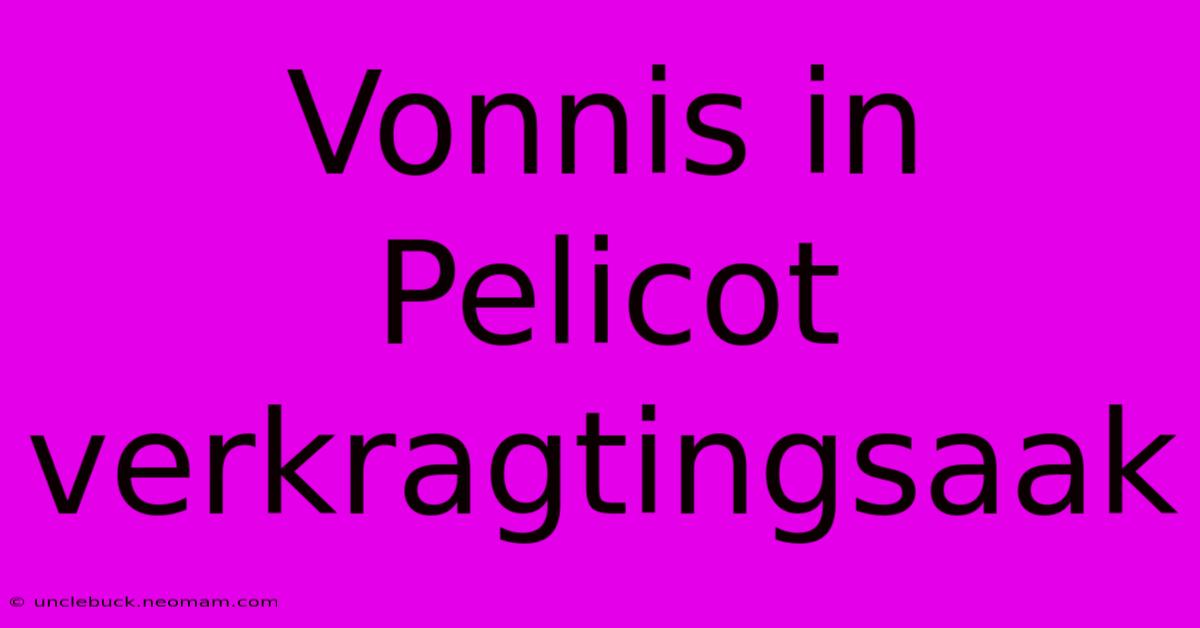 Vonnis In Pelicot Verkragtingsaak