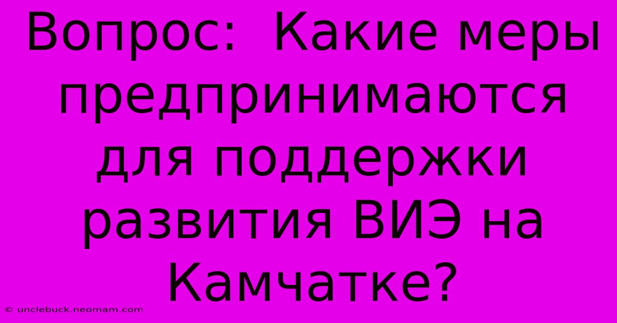 Вопрос:  Какие Меры Предпринимаются Для Поддержки Развития ВИЭ На Камчатке?