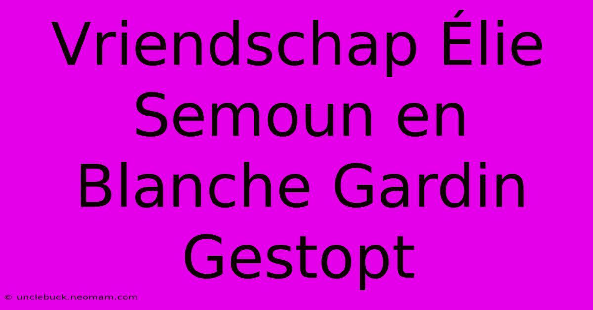 Vriendschap Élie Semoun En Blanche Gardin Gestopt