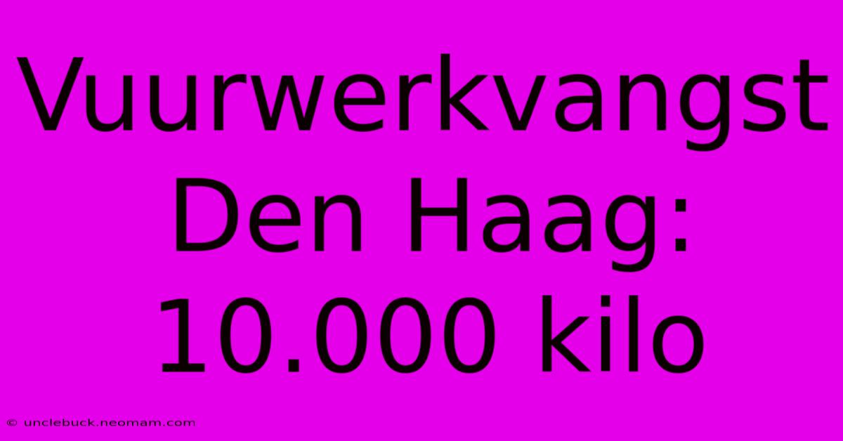 Vuurwerkvangst Den Haag: 10.000 Kilo