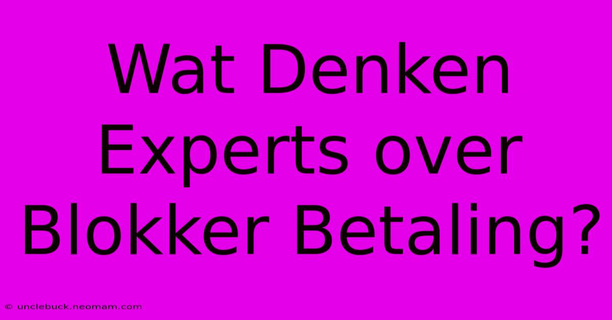 Wat Denken Experts Over Blokker Betaling?