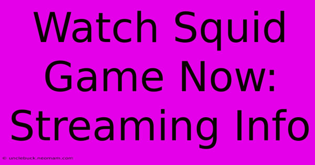 Watch Squid Game Now: Streaming Info