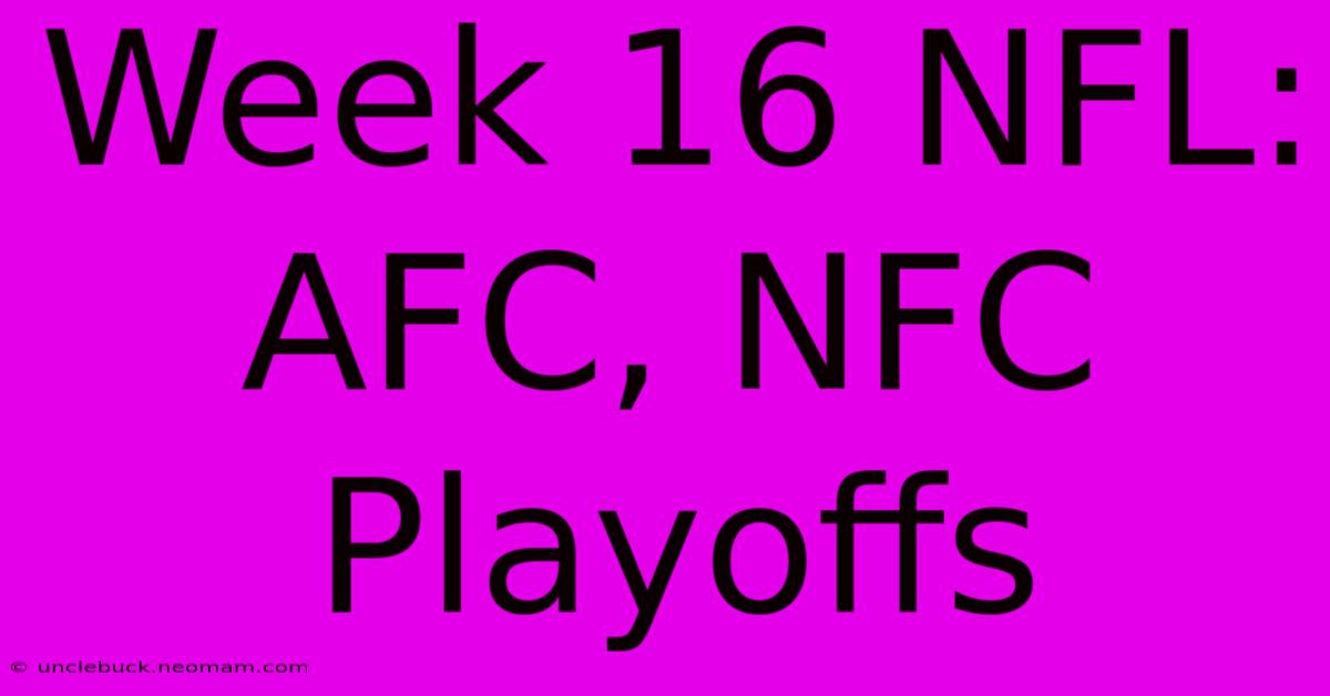 Week 16 NFL: AFC, NFC Playoffs