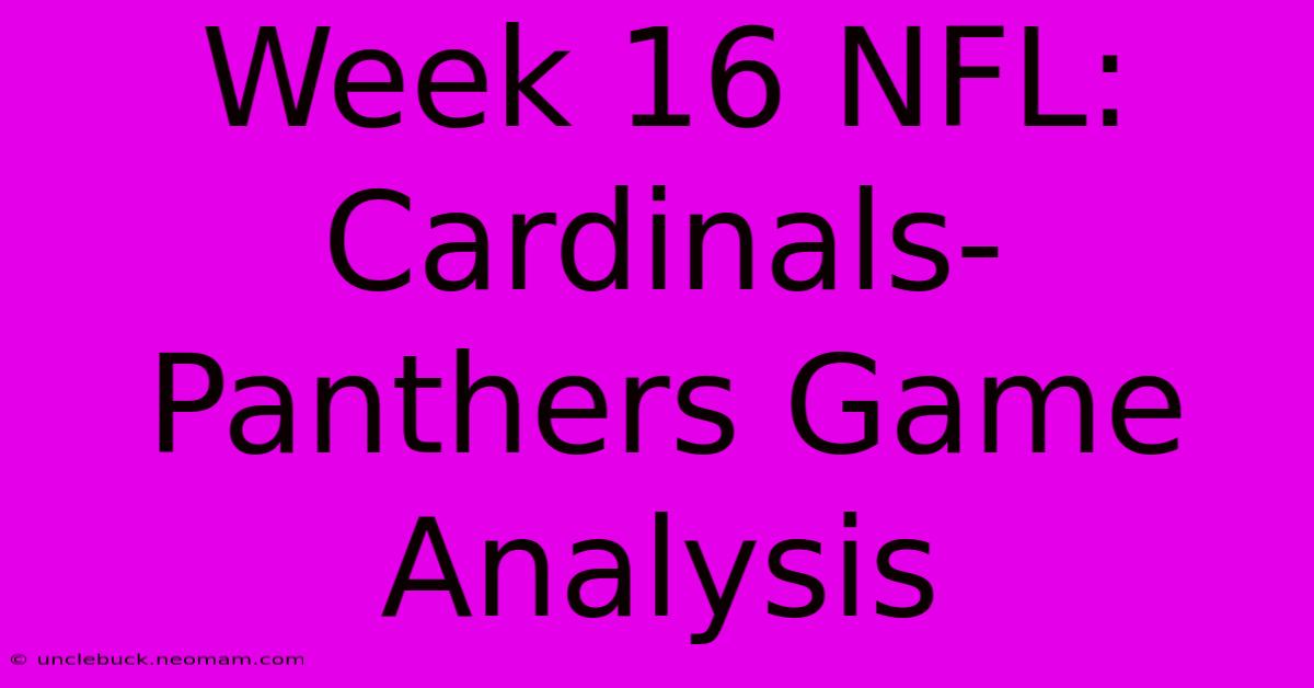 Week 16 NFL: Cardinals-Panthers Game Analysis