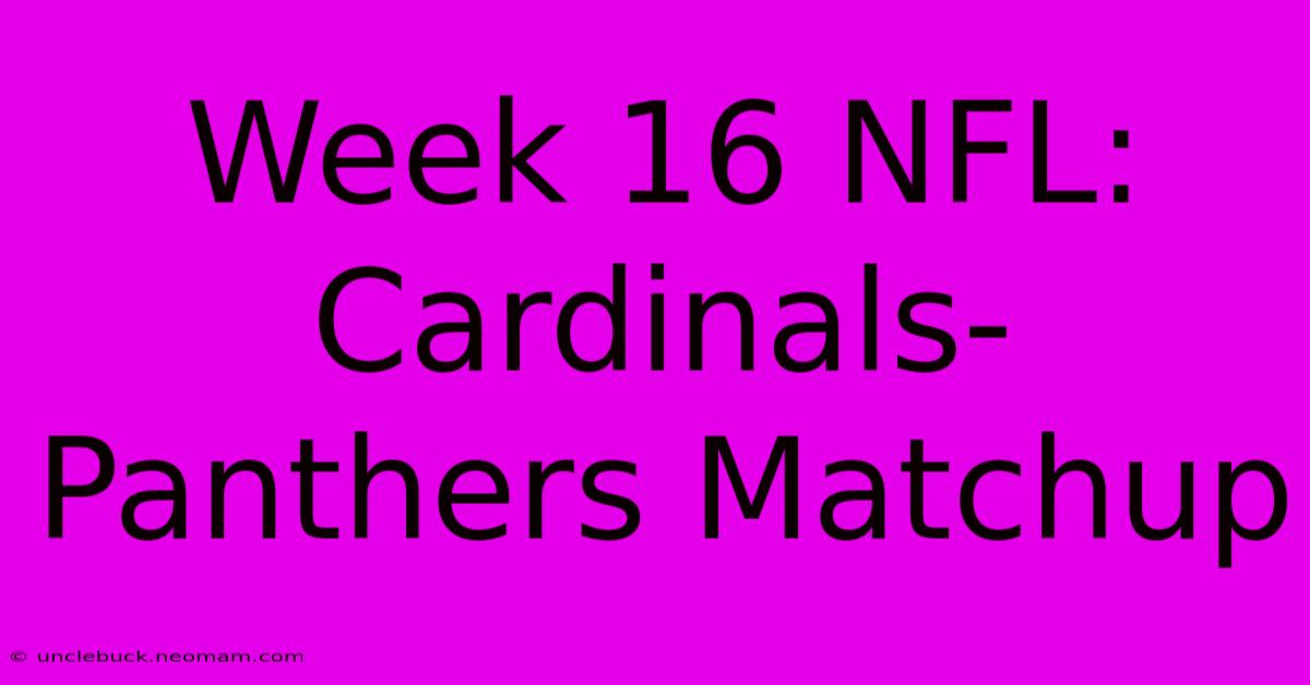 Week 16 NFL: Cardinals-Panthers Matchup