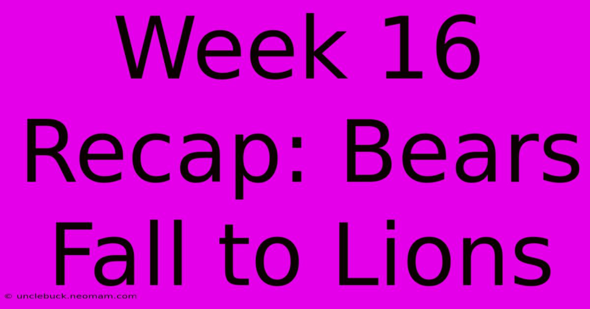 Week 16 Recap: Bears Fall To Lions