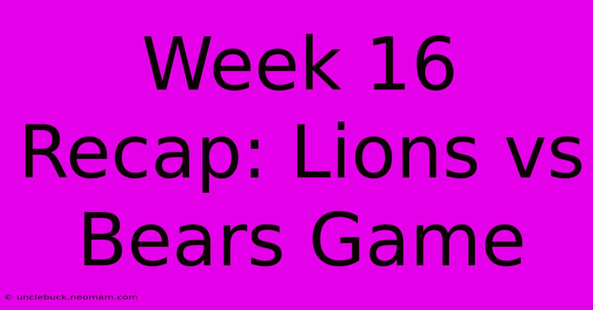 Week 16 Recap: Lions Vs Bears Game