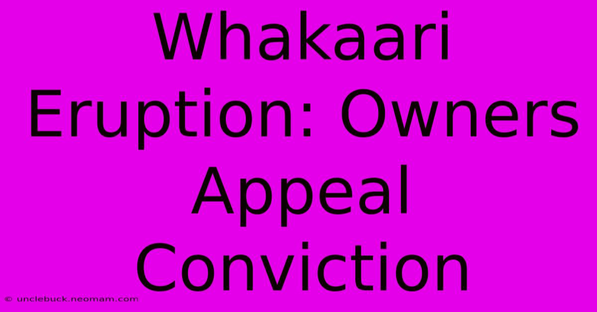 Whakaari Eruption: Owners Appeal Conviction 