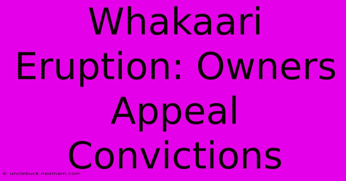 Whakaari Eruption: Owners Appeal Convictions