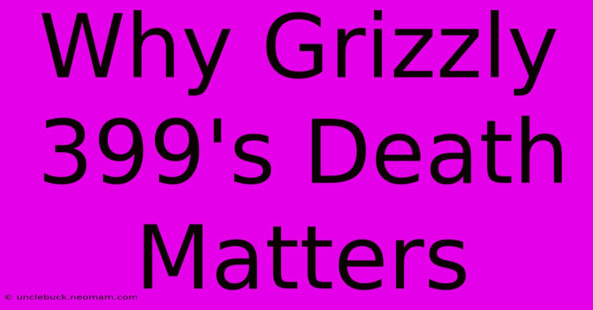 Why Grizzly 399's Death Matters