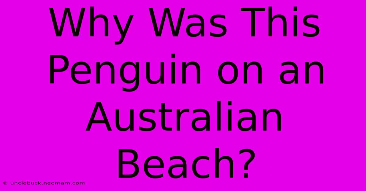 Why Was This Penguin On An Australian Beach?