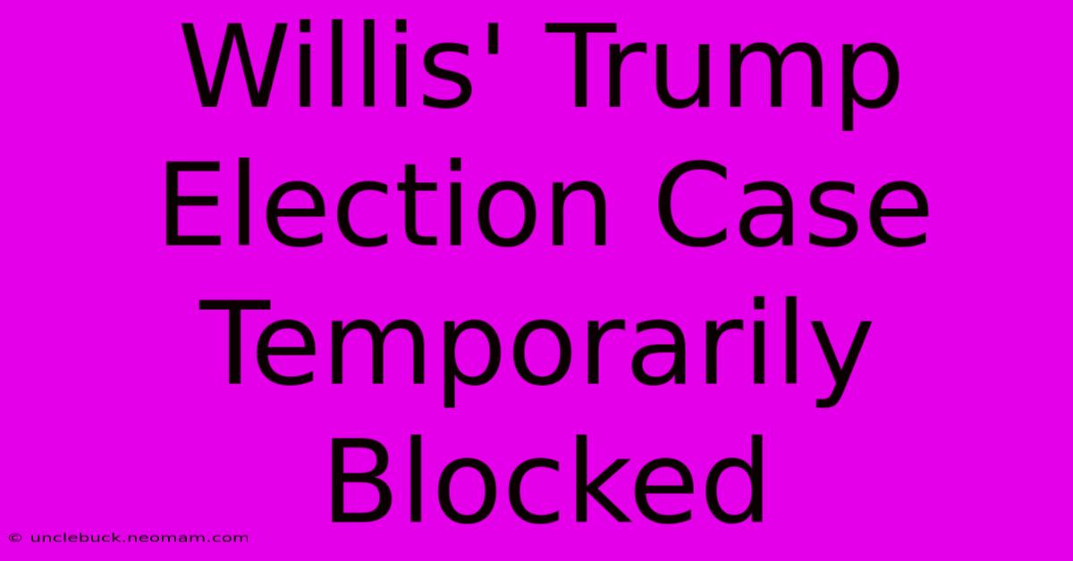 Willis' Trump Election Case Temporarily Blocked