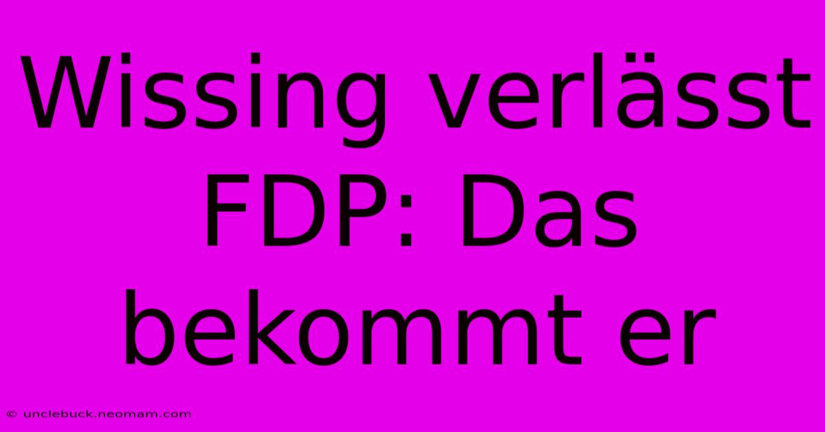 Wissing Verlässt FDP: Das Bekommt Er