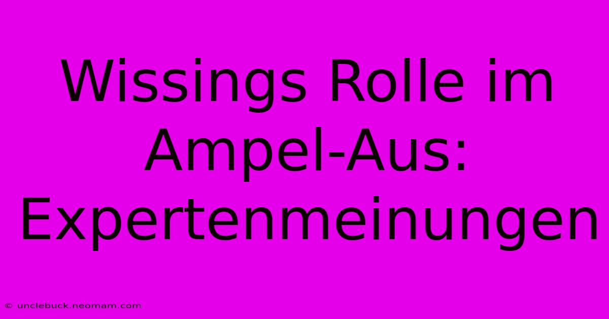 Wissings Rolle Im Ampel-Aus: Expertenmeinungen