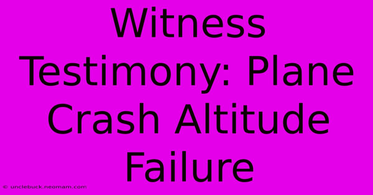 Witness Testimony: Plane Crash Altitude Failure