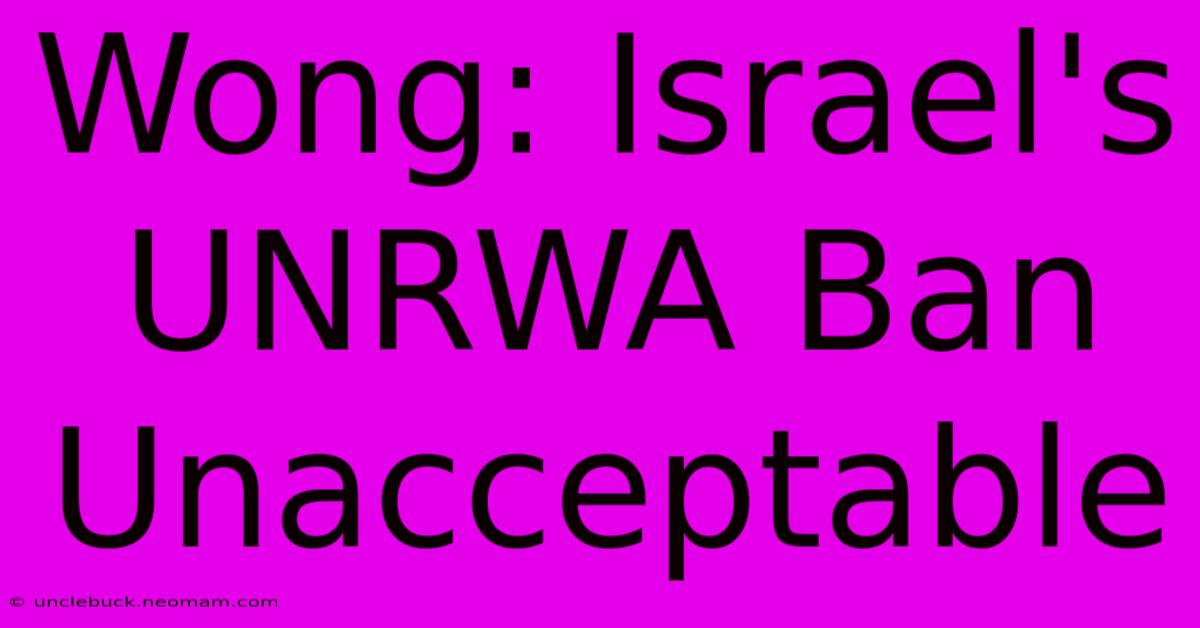 Wong: Israel's UNRWA Ban Unacceptable