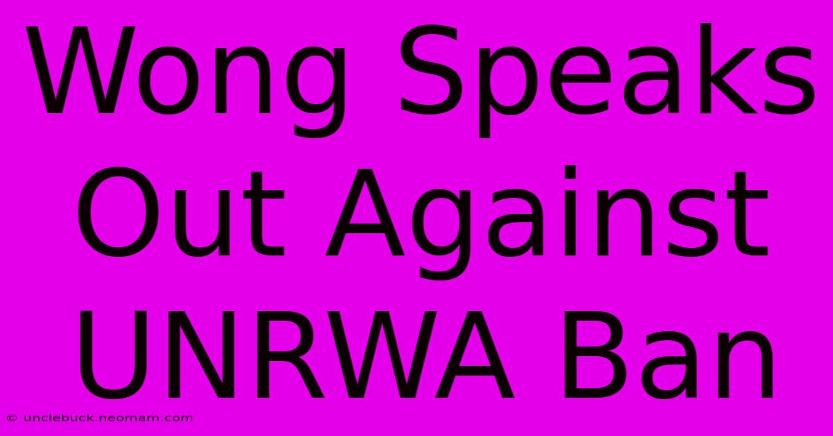 Wong Speaks Out Against UNRWA Ban 