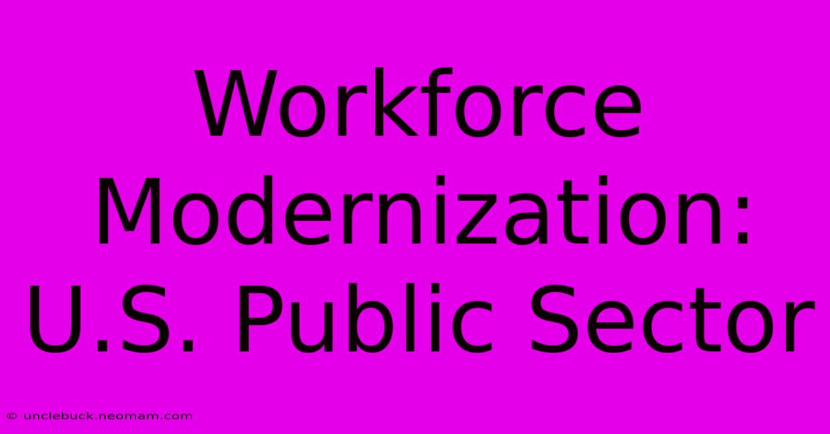 Workforce Modernization: U.S. Public Sector