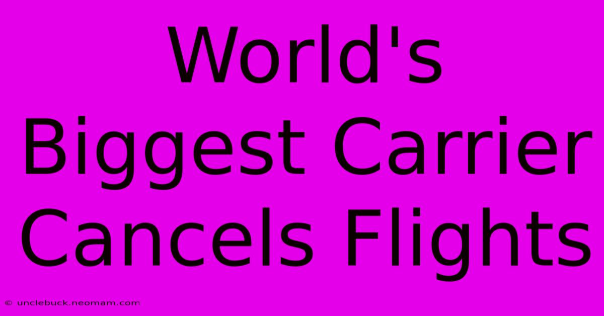 World's Biggest Carrier Cancels Flights