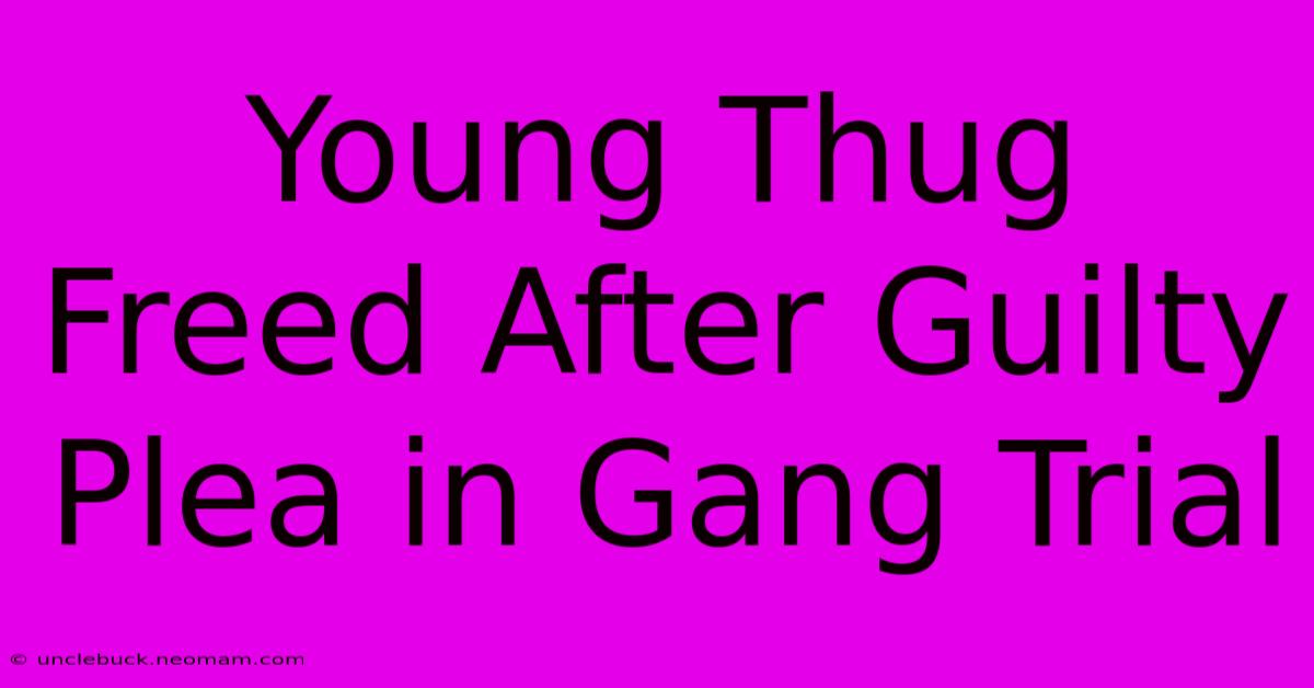 Young Thug Freed After Guilty Plea In Gang Trial