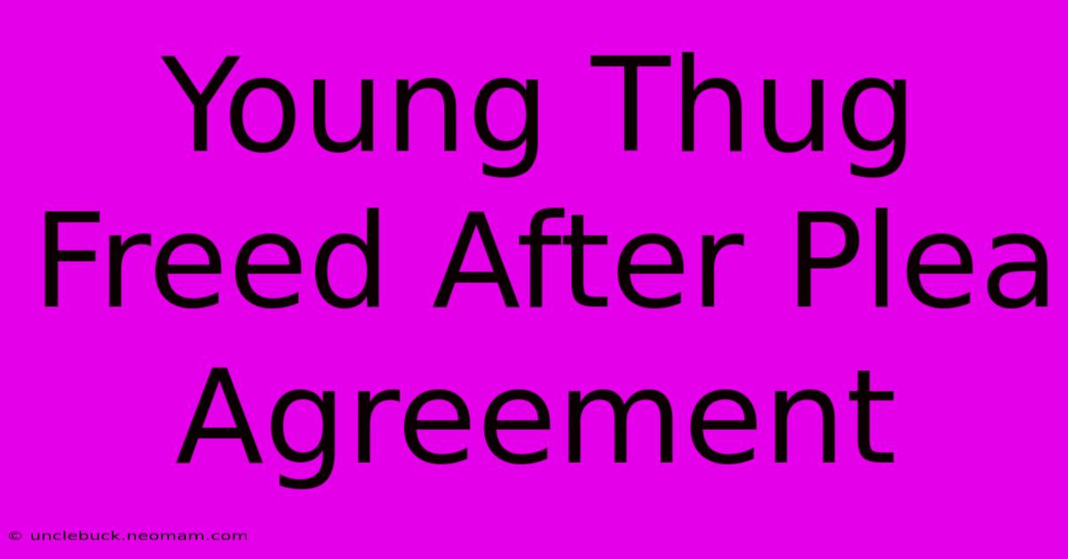 Young Thug Freed After Plea Agreement 