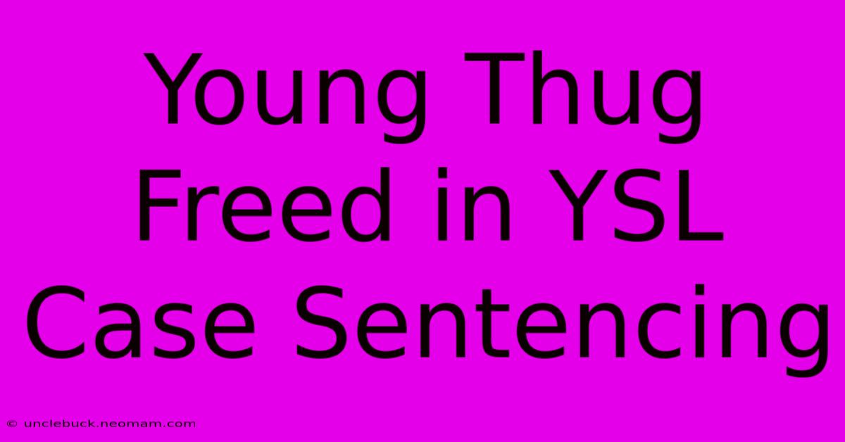 Young Thug Freed In YSL Case Sentencing