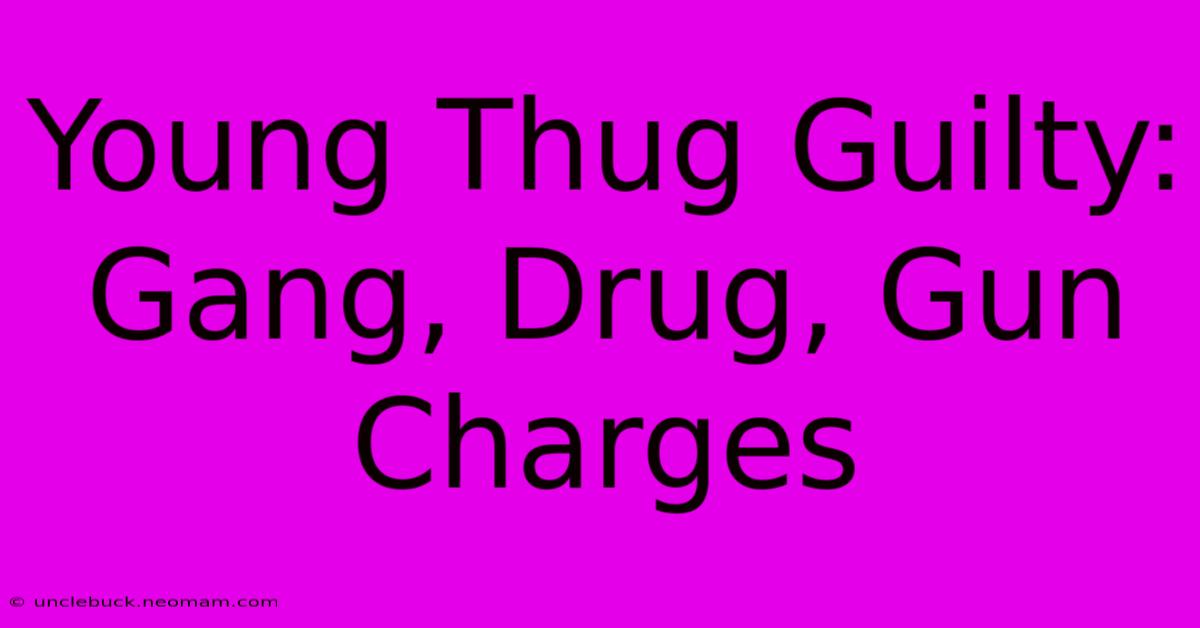 Young Thug Guilty: Gang, Drug, Gun Charges