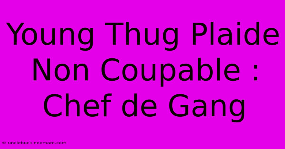 Young Thug Plaide Non Coupable : Chef De Gang 