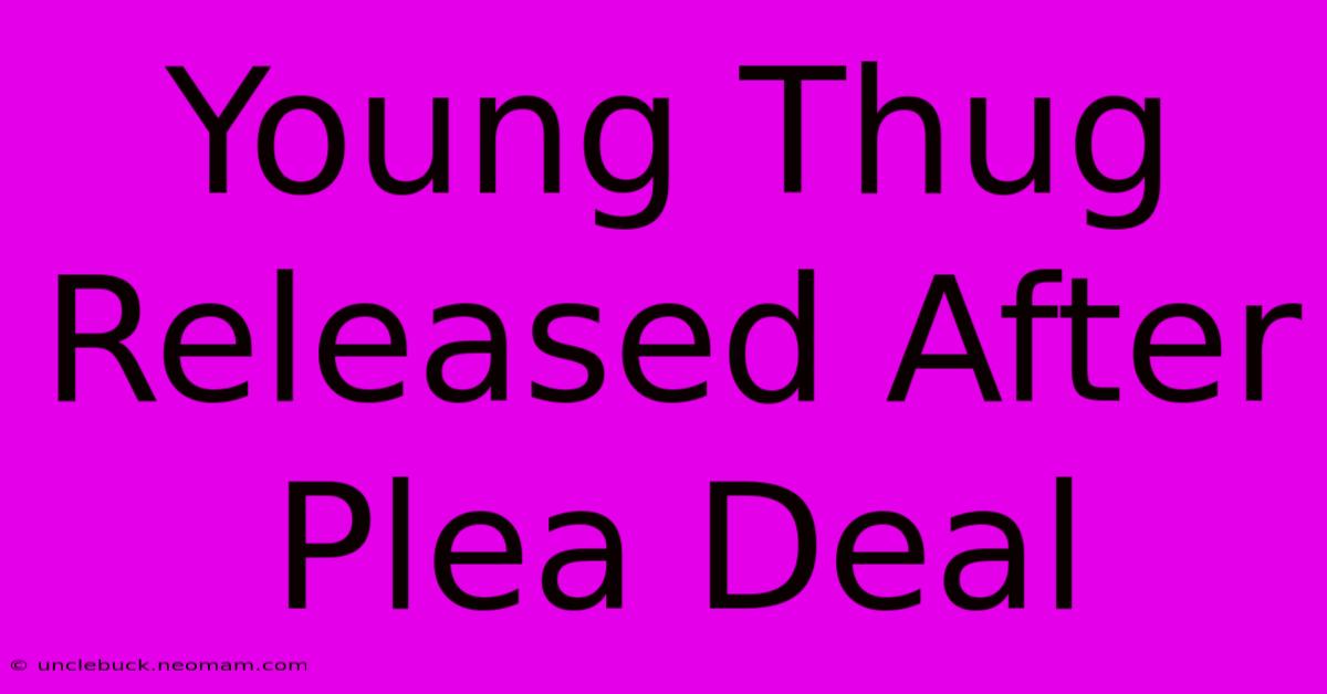 Young Thug Released After Plea Deal