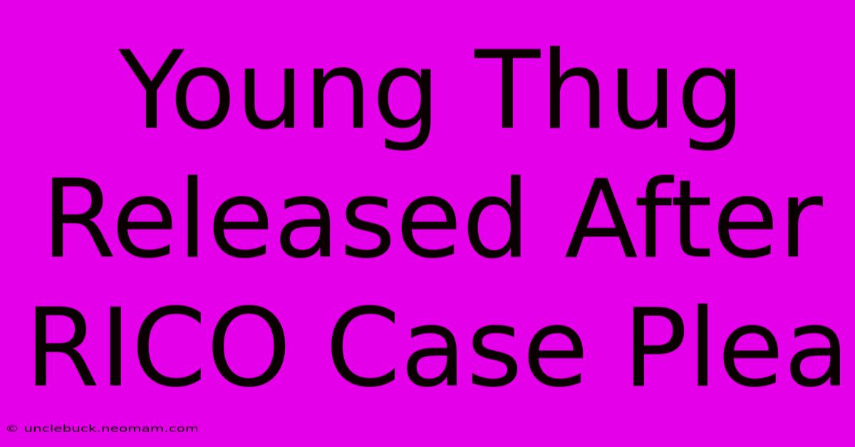 Young Thug Released After RICO Case Plea