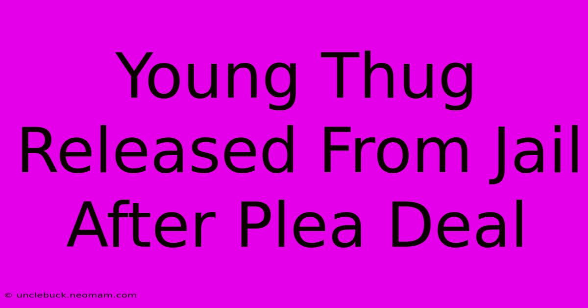 Young Thug Released From Jail After Plea Deal 