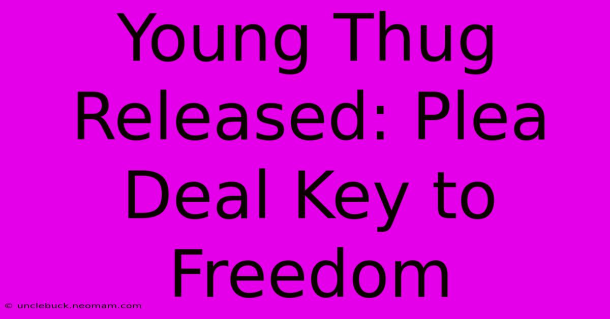 Young Thug Released: Plea Deal Key To Freedom 