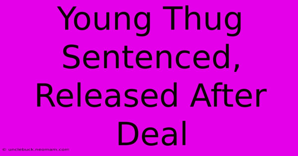 Young Thug Sentenced, Released After Deal