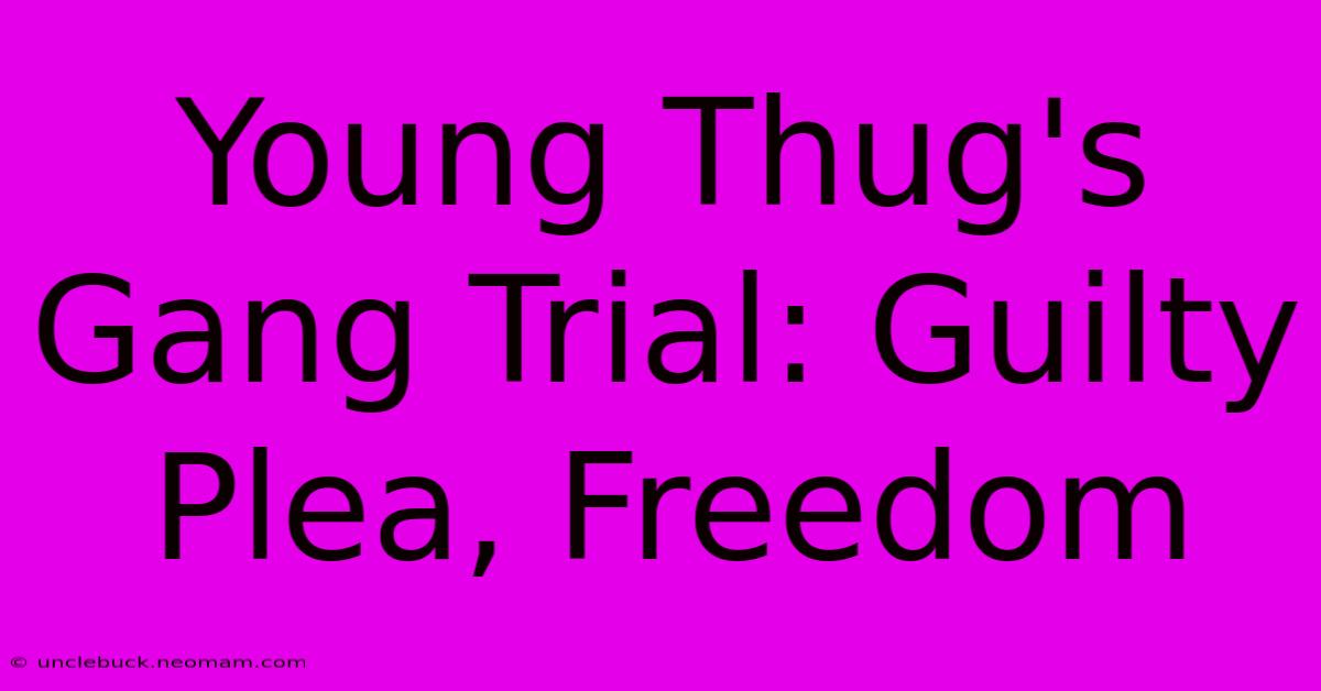 Young Thug's Gang Trial: Guilty Plea, Freedom 