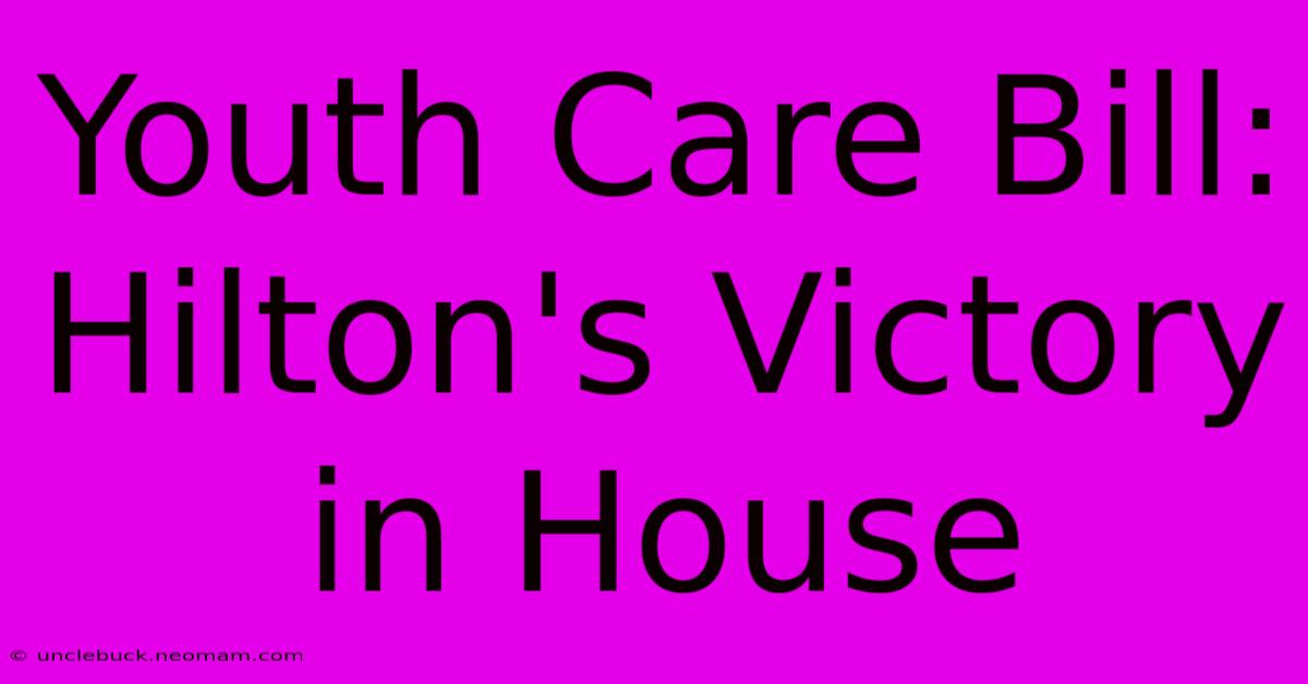 Youth Care Bill: Hilton's Victory In House