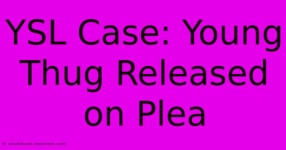 YSL Case: Young Thug Released On Plea